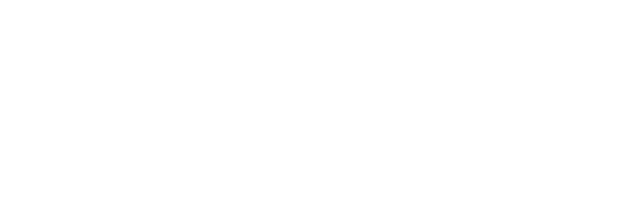 Connection Counts Reverse Site Logo