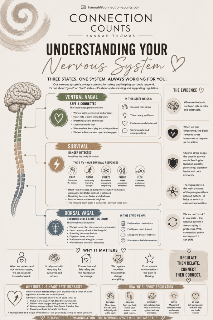 Understanding_Your_Nervous_System